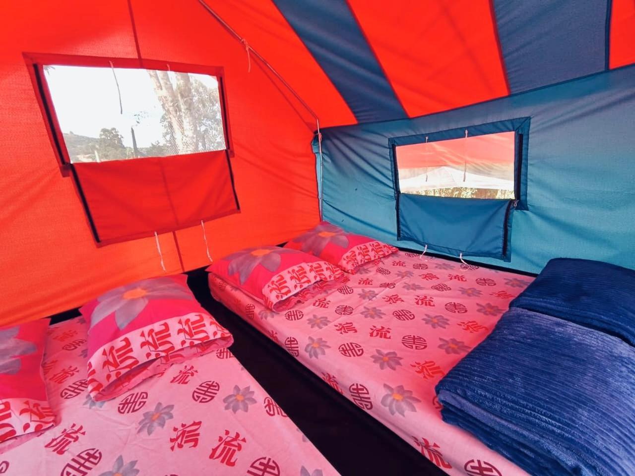 Ecoxplora-Zona De Camping Jardín Eksteriør billede