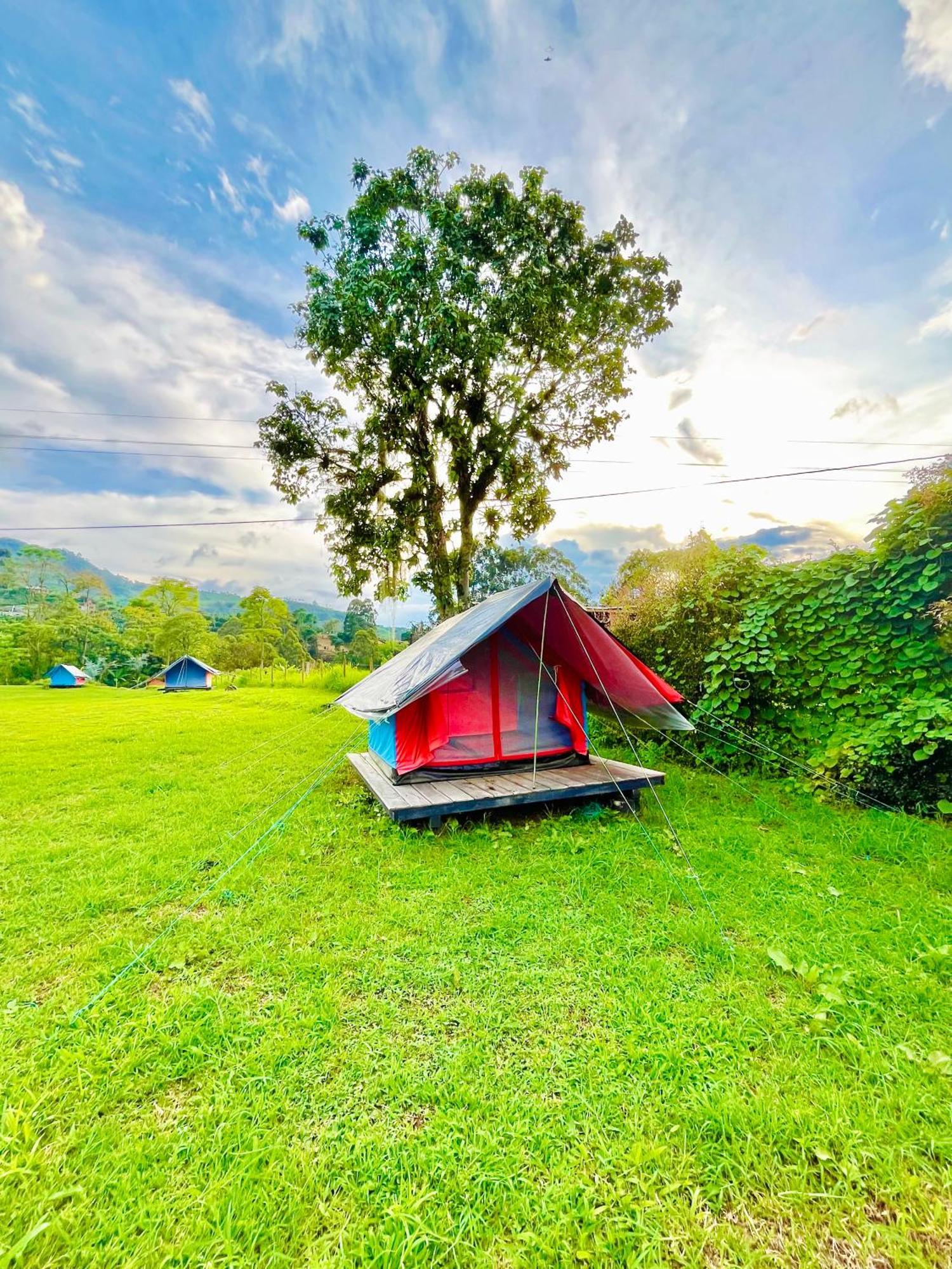 Ecoxplora-Zona De Camping Jardín Eksteriør billede